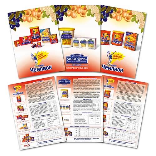 Печать листовок в Туле